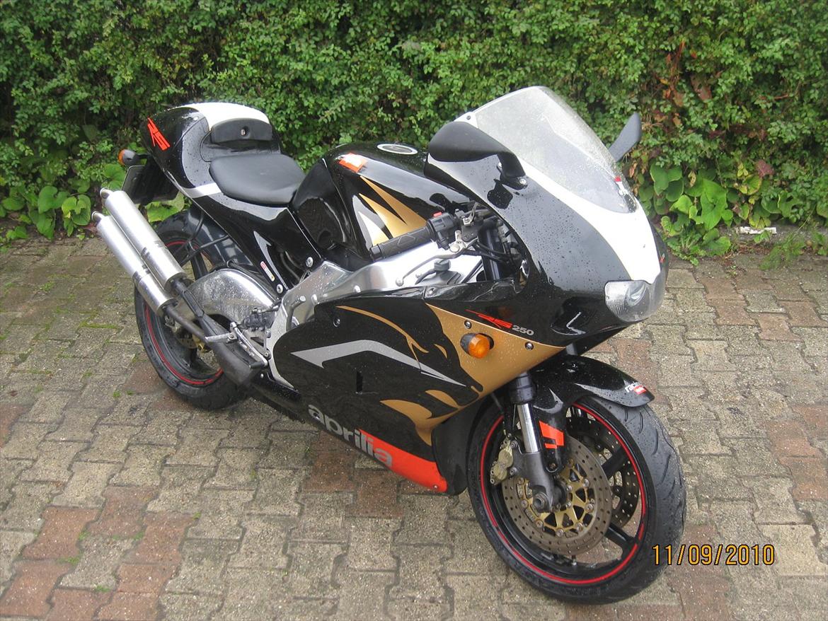 Aprilia RS 250 billede 8