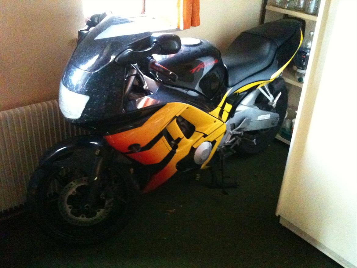 Honda cbr 600 billede 4