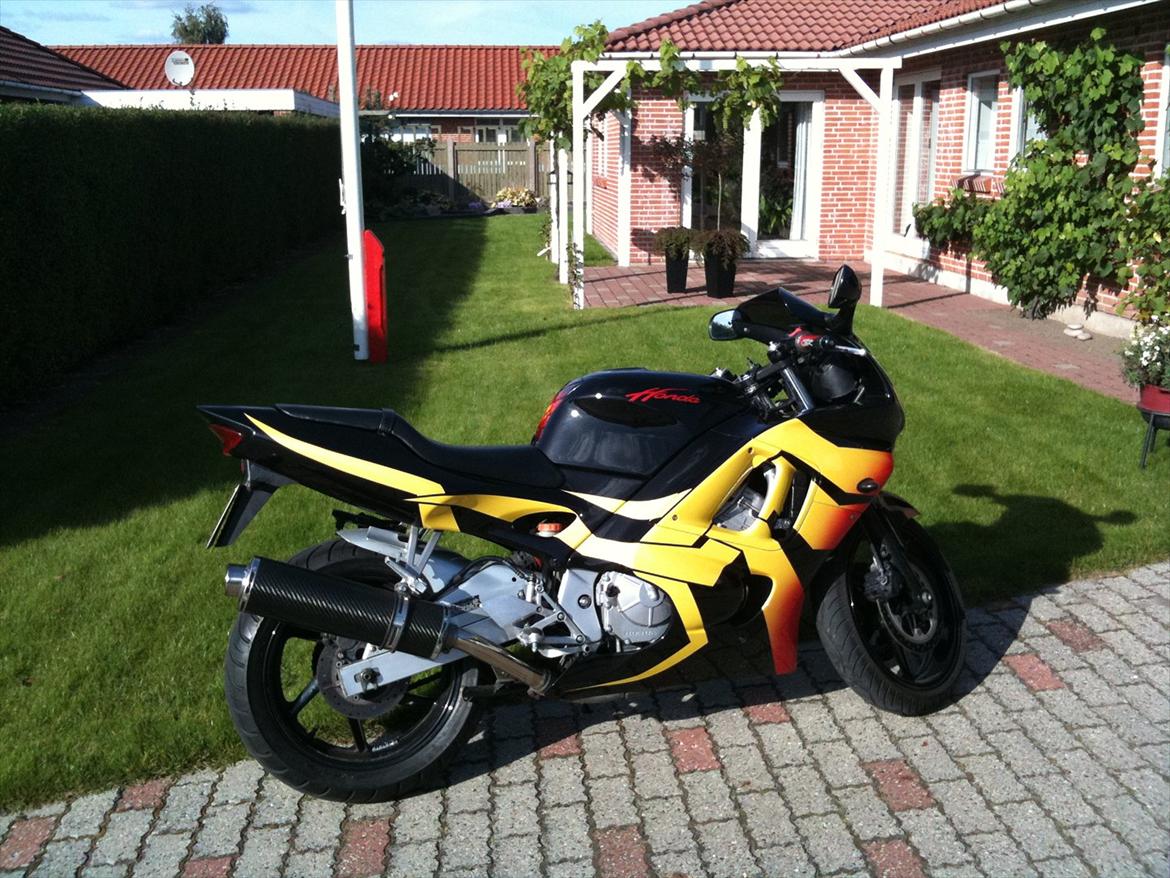 Honda cbr 600 billede 6