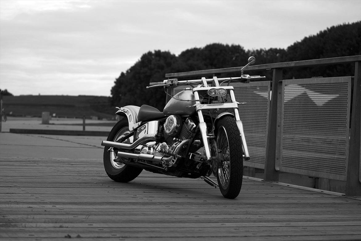 Yamaha Dragstar XVS-650 billede 7