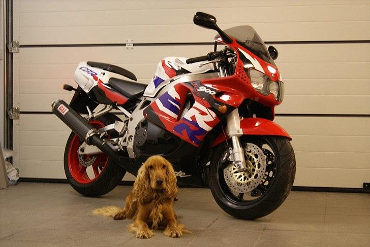 Honda CBR 900 RR billede 1