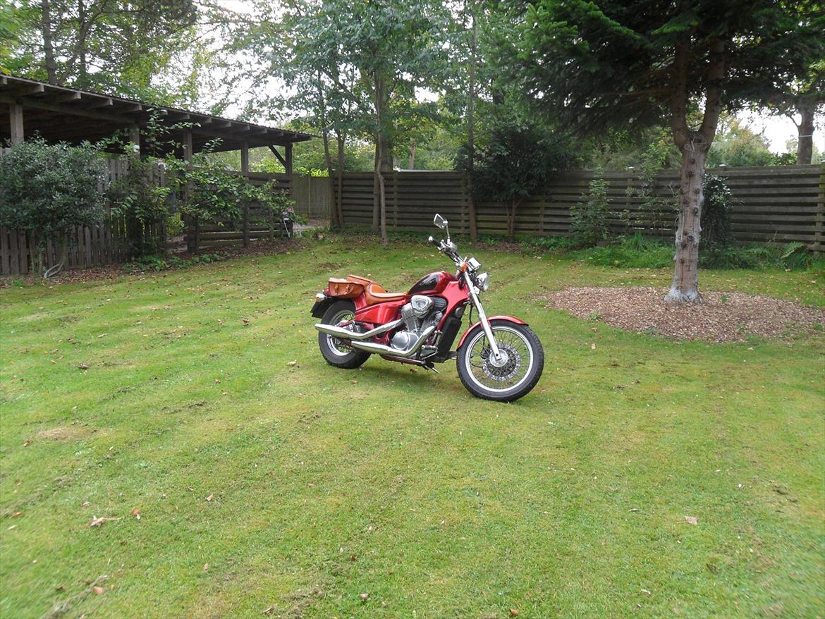 Honda VT  600 shadow SOLGT billede 6