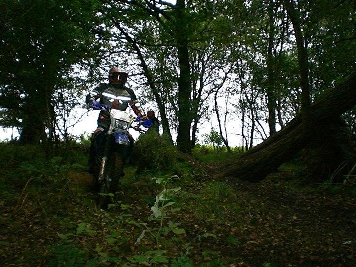 Suzuki Drz 400 S - Solgt billede 6