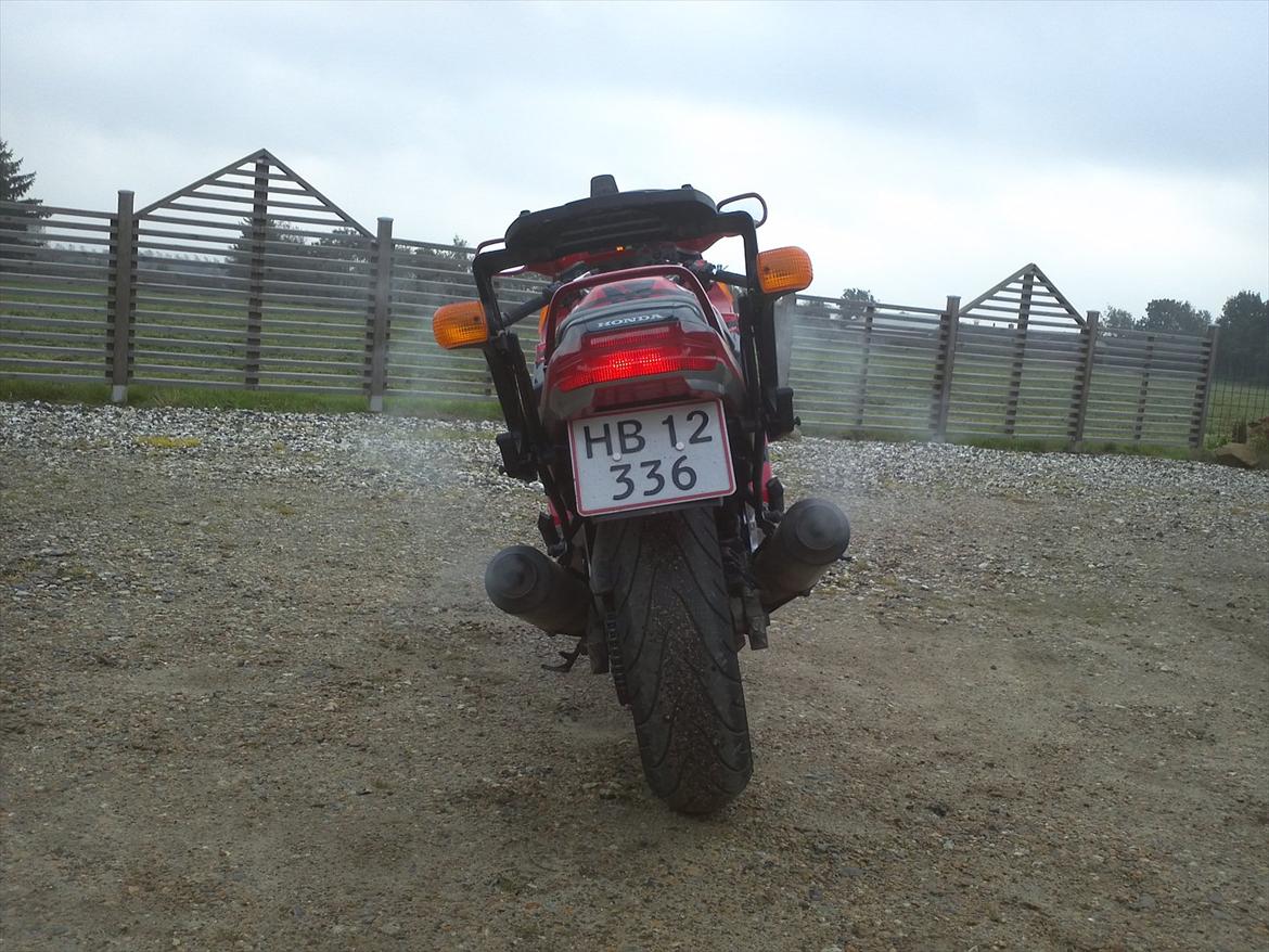 Honda cbr 1000 f sc24 - lige hjemkommet efter en skøn tysklandstur til rügen billede 14