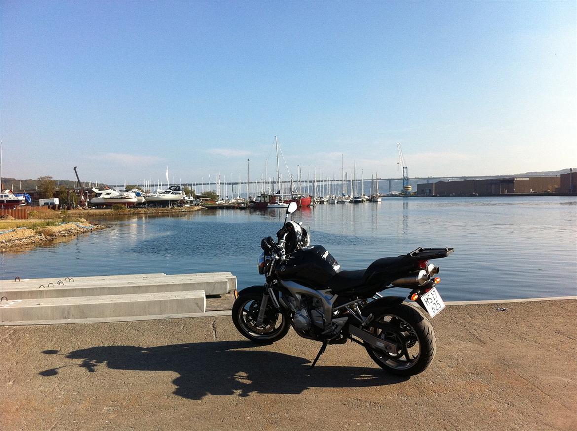 Yamaha FZ-6 N - Endnu et billede fra samme sted, sikke en smuksak der holder der ;-) billede 2