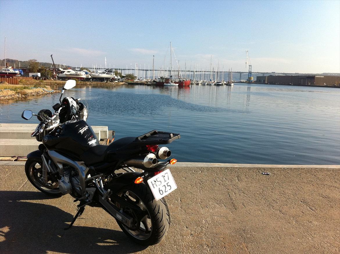 Yamaha FZ-6 N - På tur i det jyske (Ved Vejle Fjord Broen), taget den 29/09/2011 og vejret var perfekt! - Tog lige en 15mins stræk ben pause og nyde udsigten. billede 1