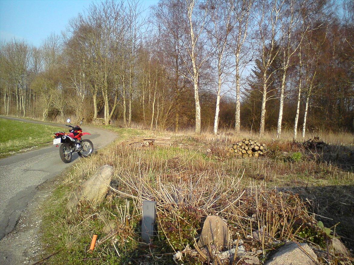 Honda XR 125 L billede 3