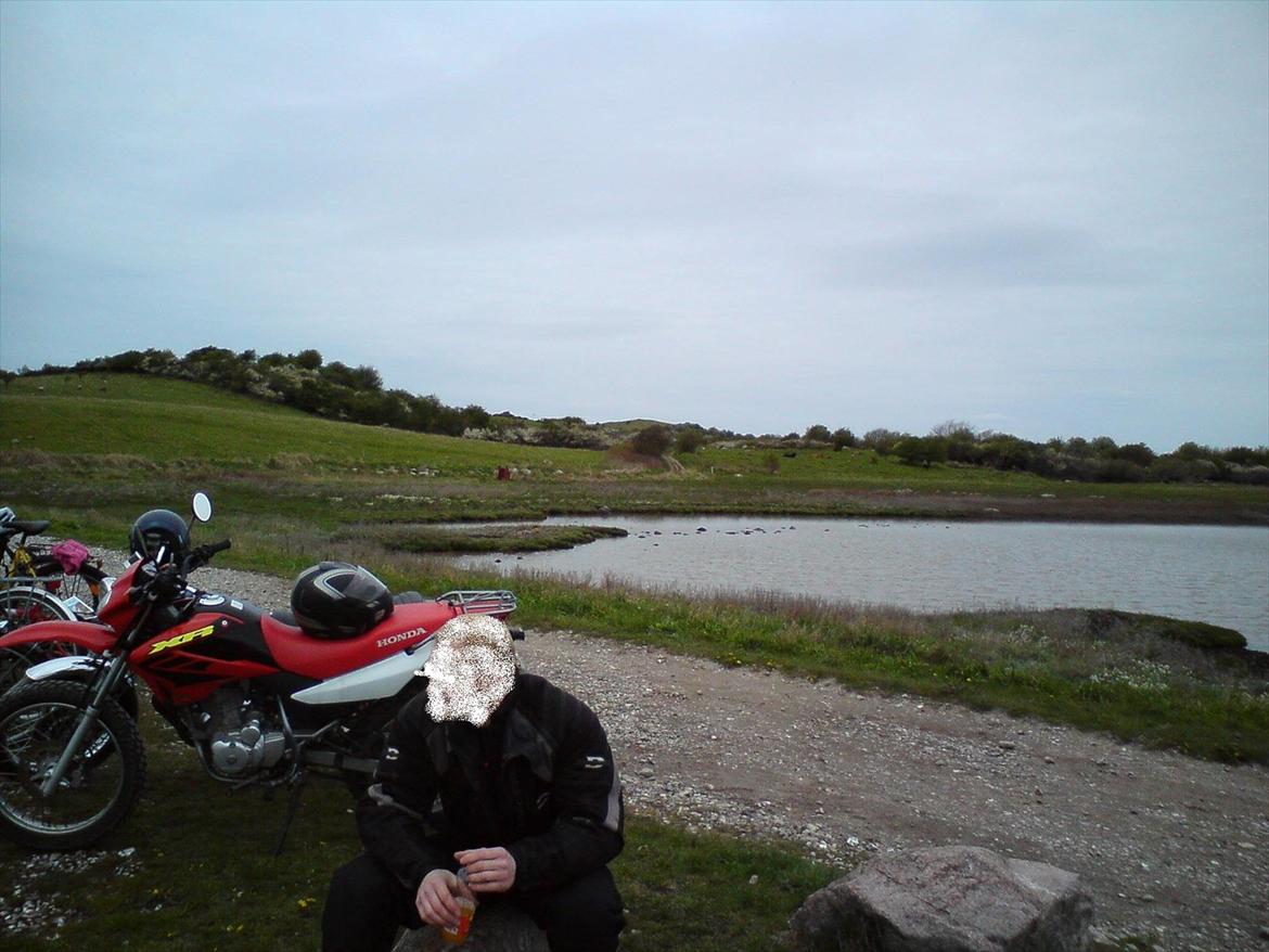 Honda XR 125 L billede 4