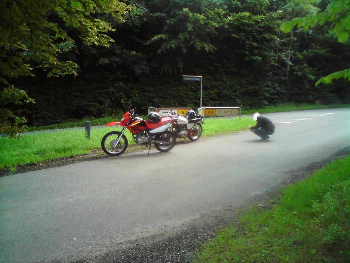 Honda XR 125 L billede 8