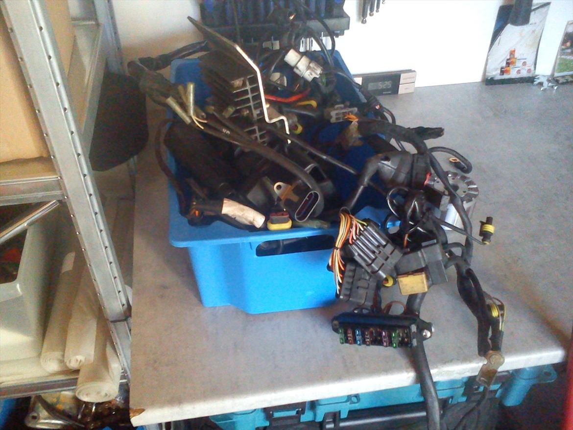 Ducati 748/996 sps  - el netted  billede 3