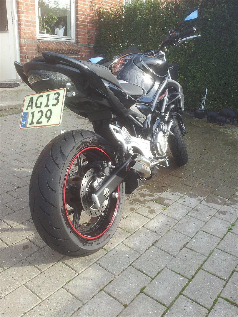 Suzuki SFV 650 Gladius K9 billede 1