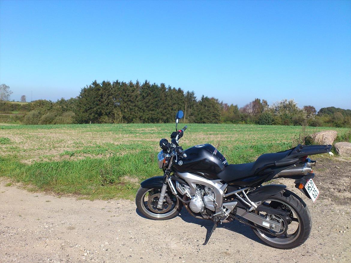 Yamaha FZ-6 N billede 7