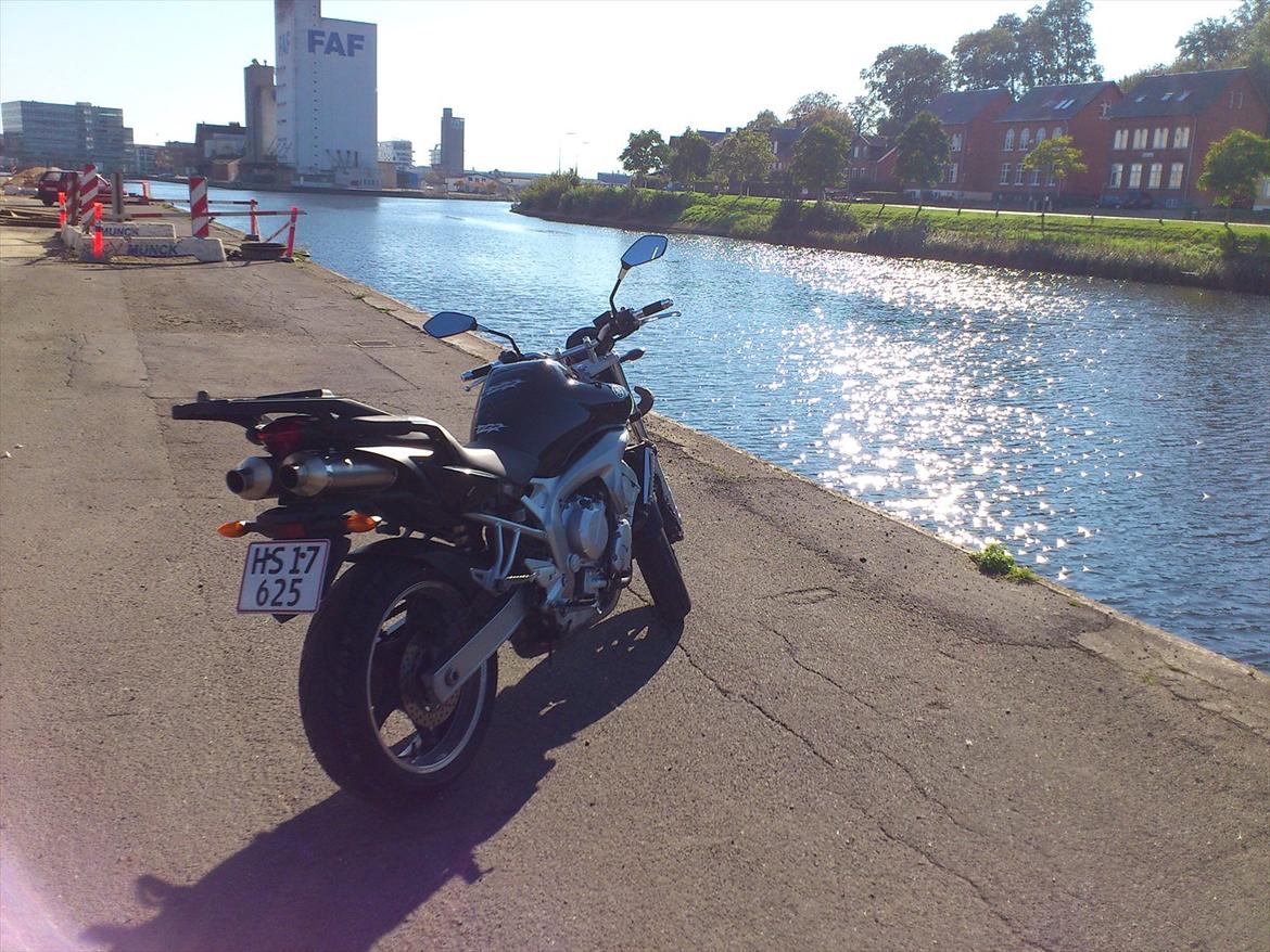 Yamaha FZ-6 N billede 10
