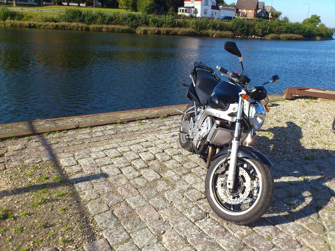 Yamaha FZ-6 N billede 13