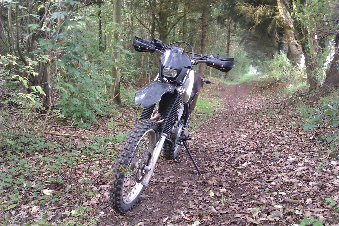 Honda XR 600 - KTM forskærm/Zeta handguards med LED blink og Poli forlygte - Giver en lidt anden atityde, end det orginale.!! billede 4