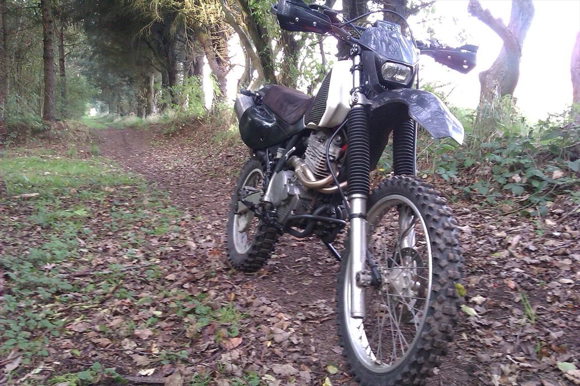 Honda XR 600 - Se, det er ski sådan, en skovtur skal være.! billede 2