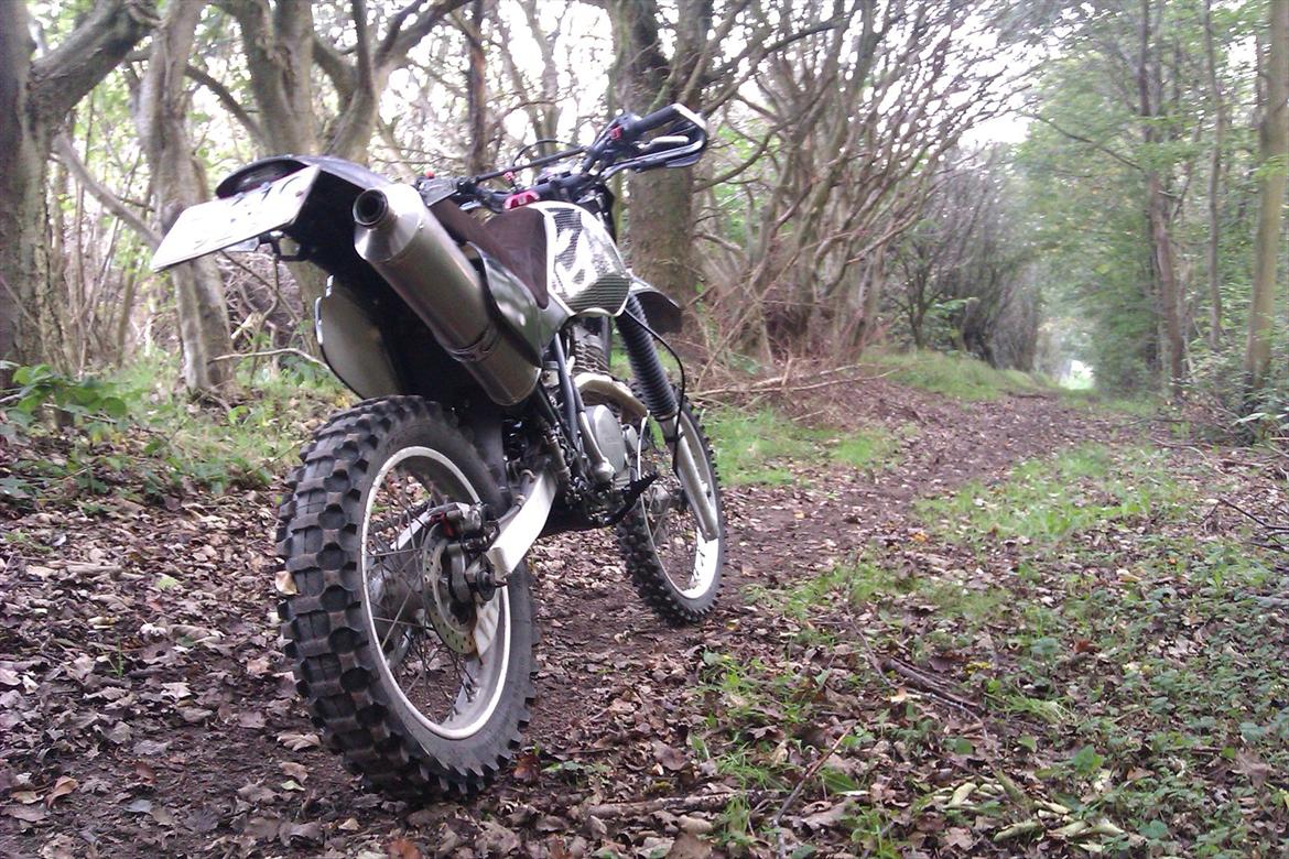 Honda XR 600 - På lusketur som så mange gange før... billede 1