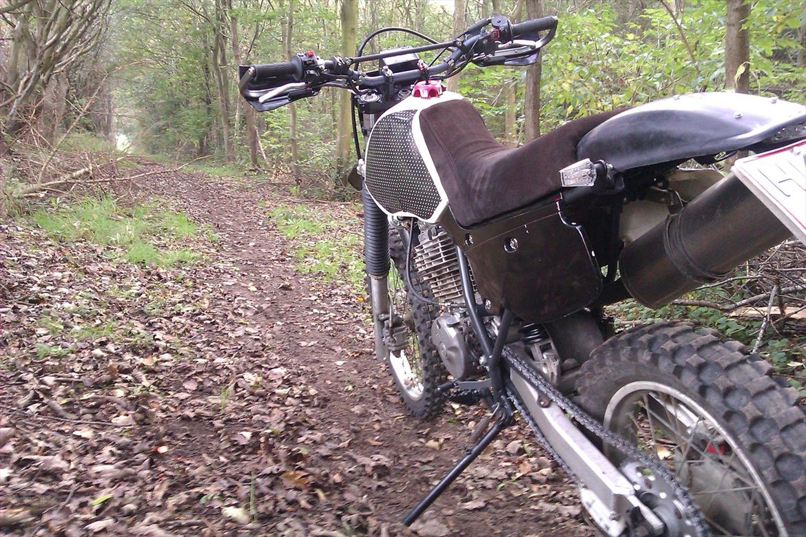 Honda XR 600 - Go´ røv der..... billede 3