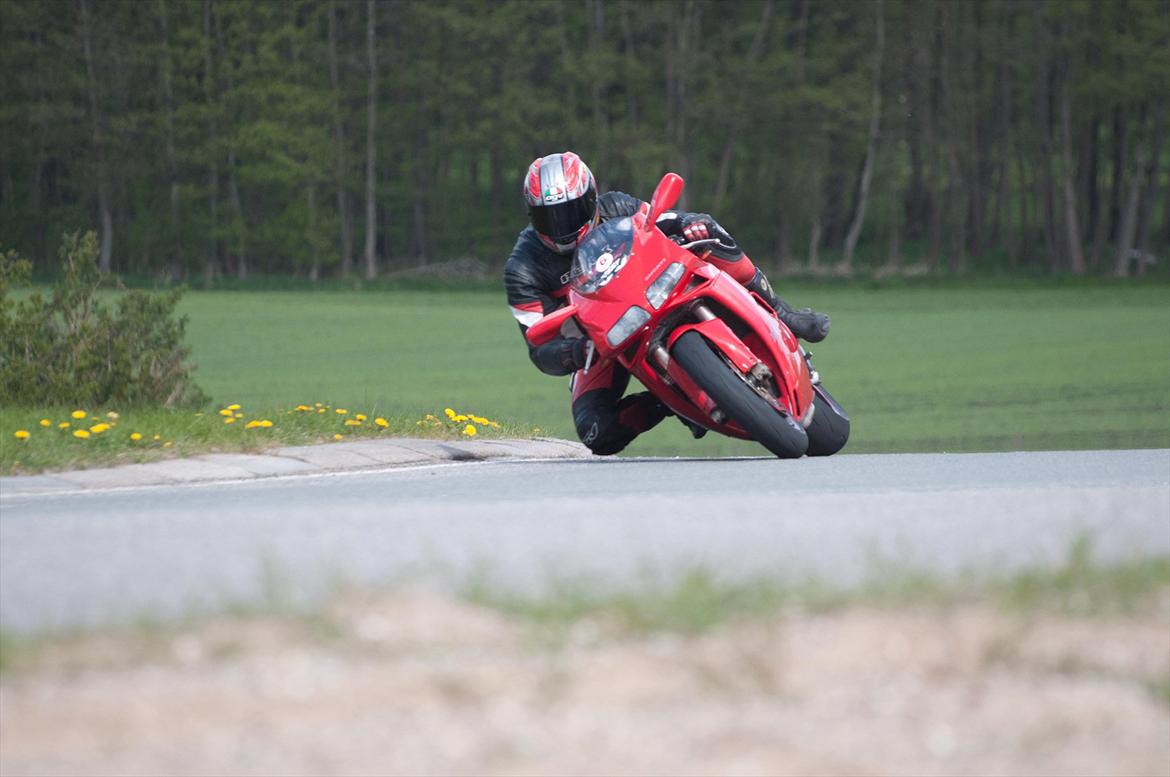 Ducati 916 billede 11