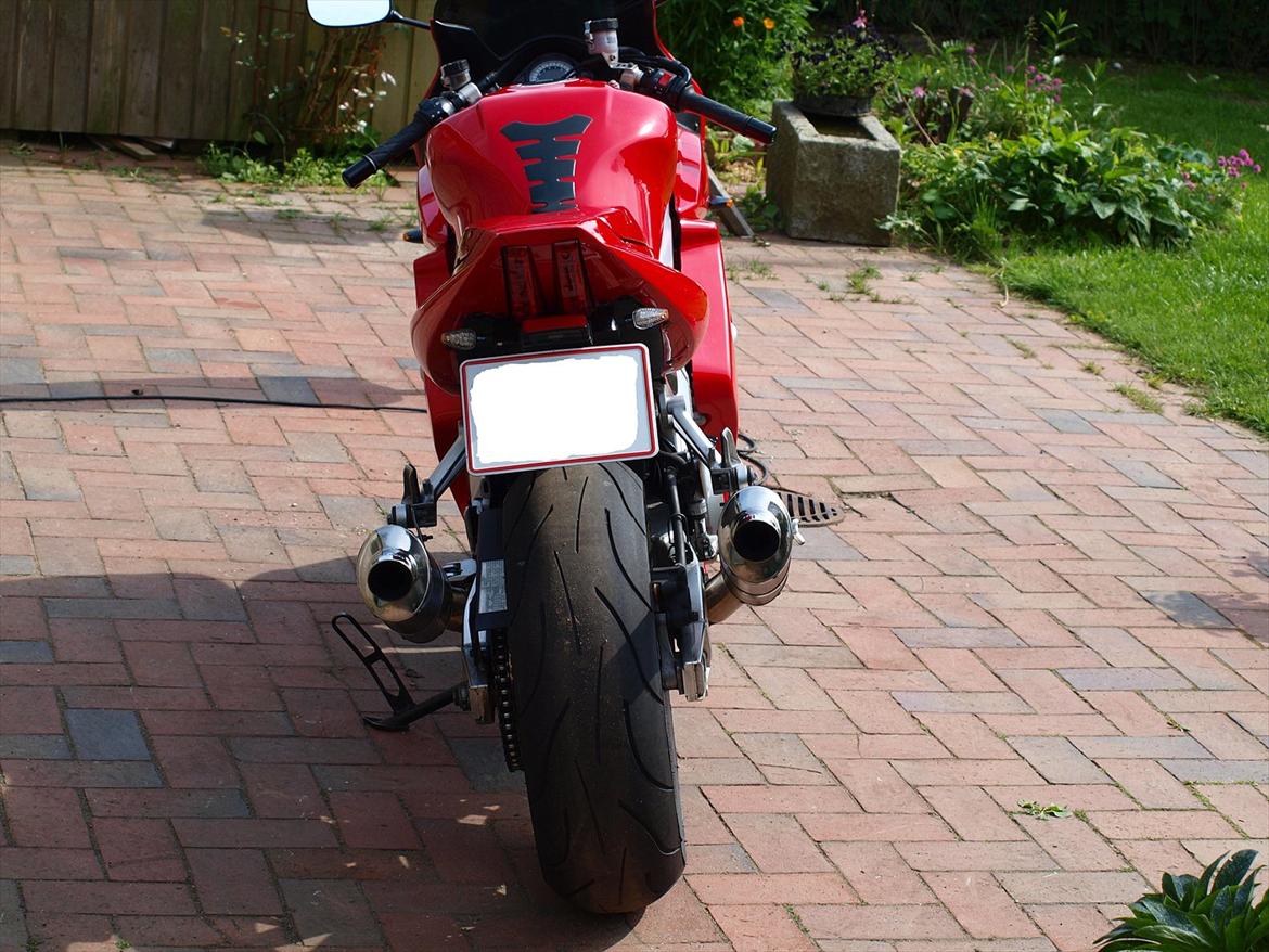 Suzuki SV 1000 SOLGT - 2011 Billeder billede 9