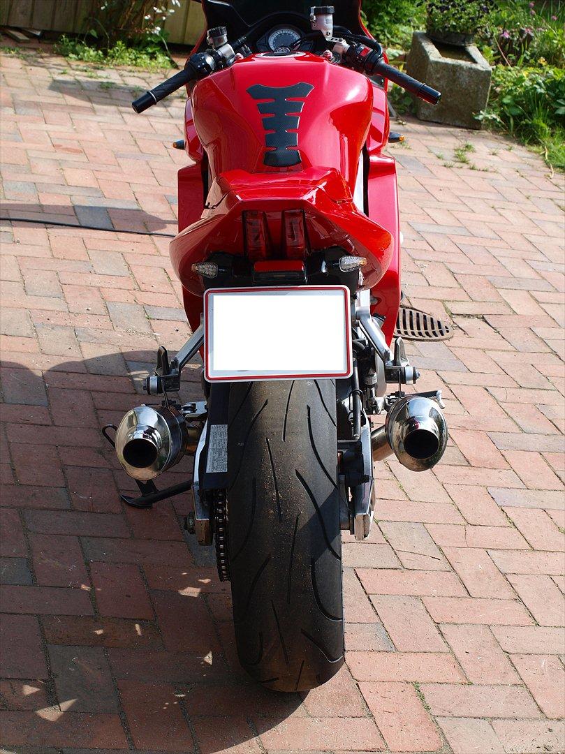 Suzuki SV 1000 SOLGT - 2011 Billeder billede 12