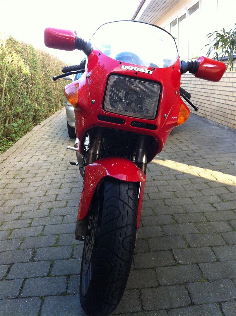 Ducati 900ss billede 6