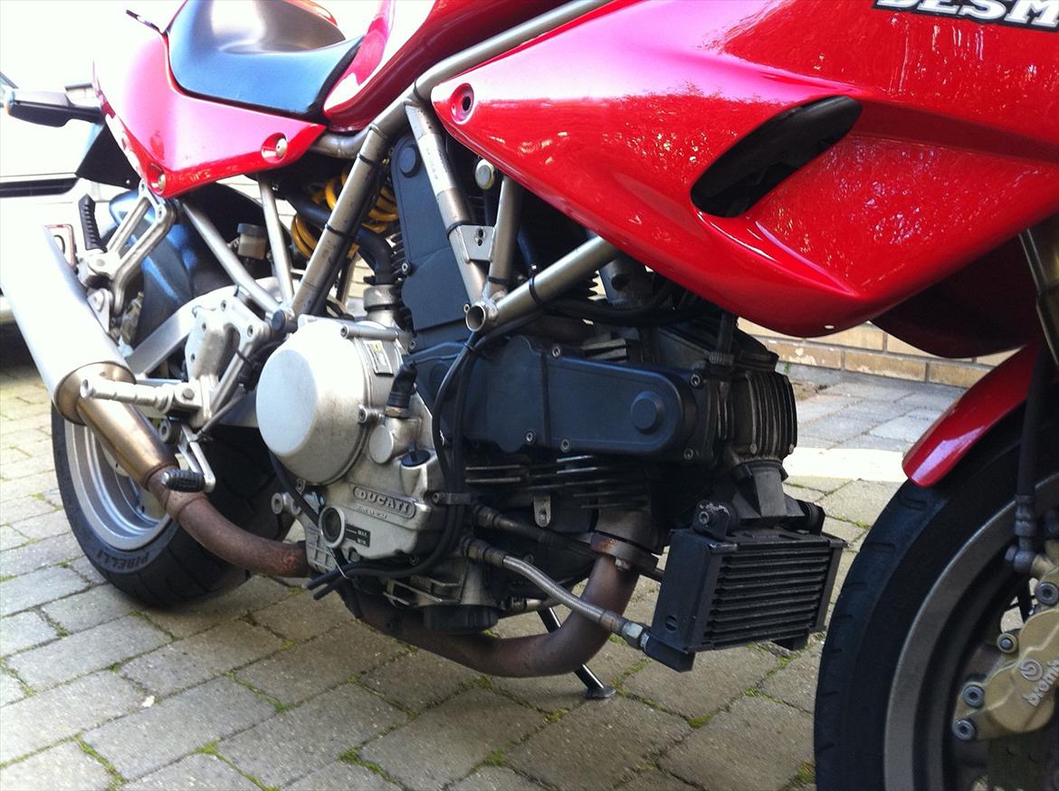 Ducati 900ss billede 7