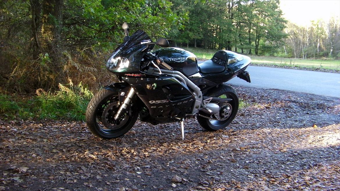 Triumph Daytona 955i CE billede 8