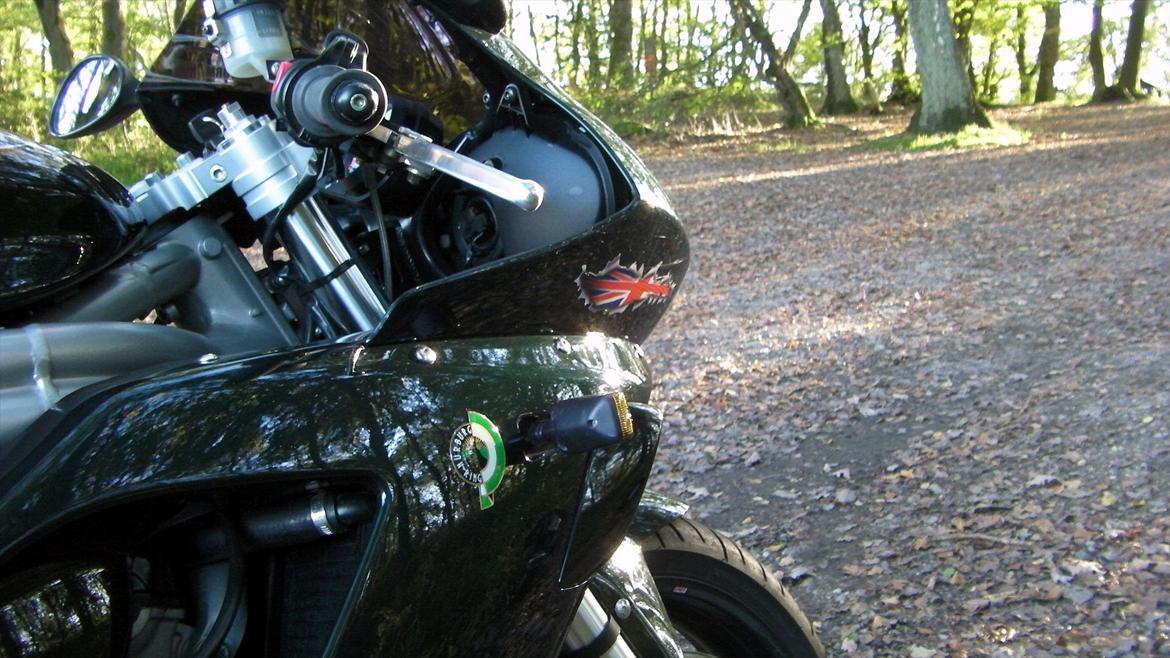 Triumph Daytona 955i CE billede 9