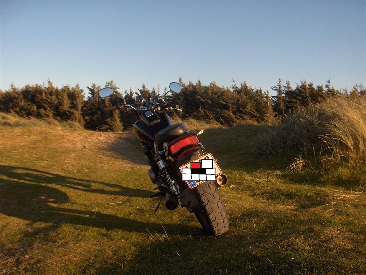 Kawasaki ZL600 (SOLGT)  billede 19
