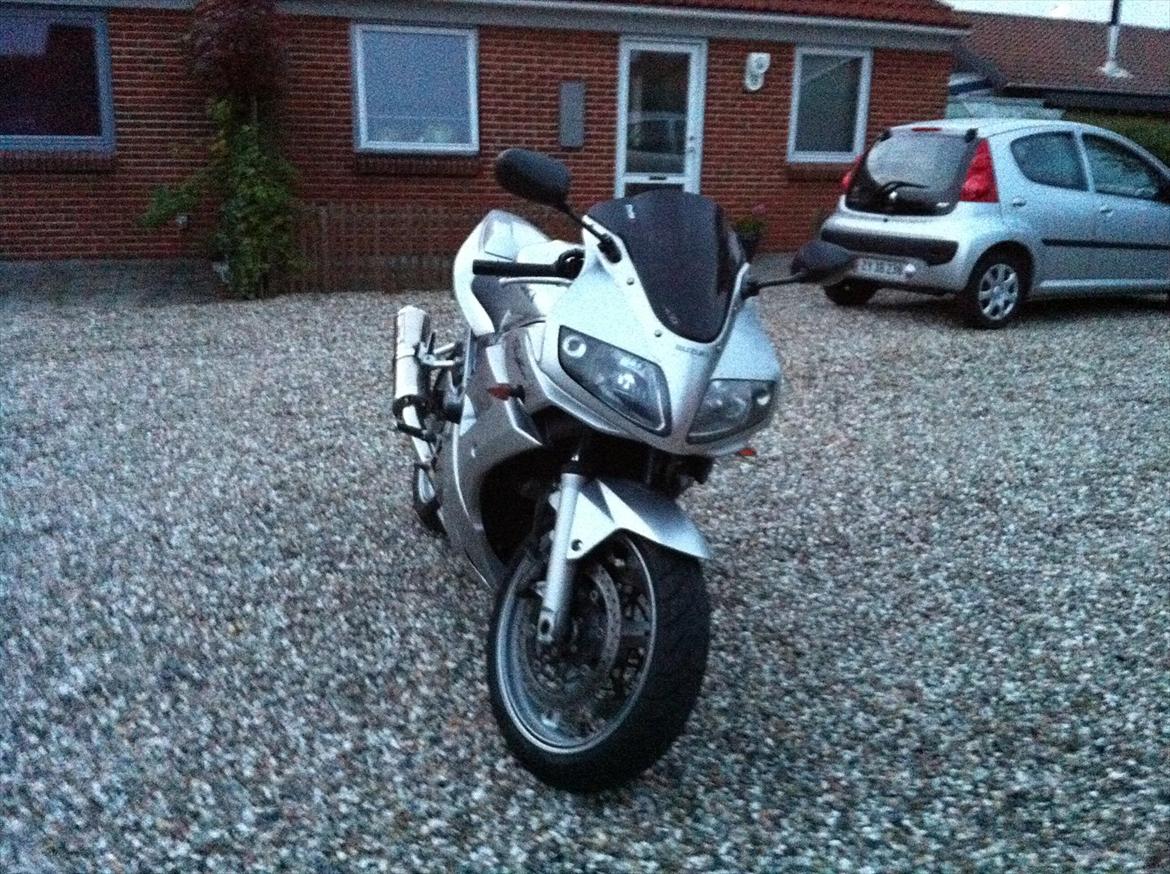 Suzuki SV 1000 S billede 24