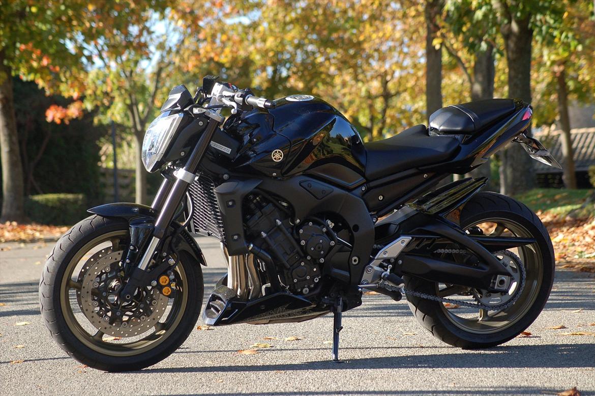 Yamaha FZ1-N billede 2