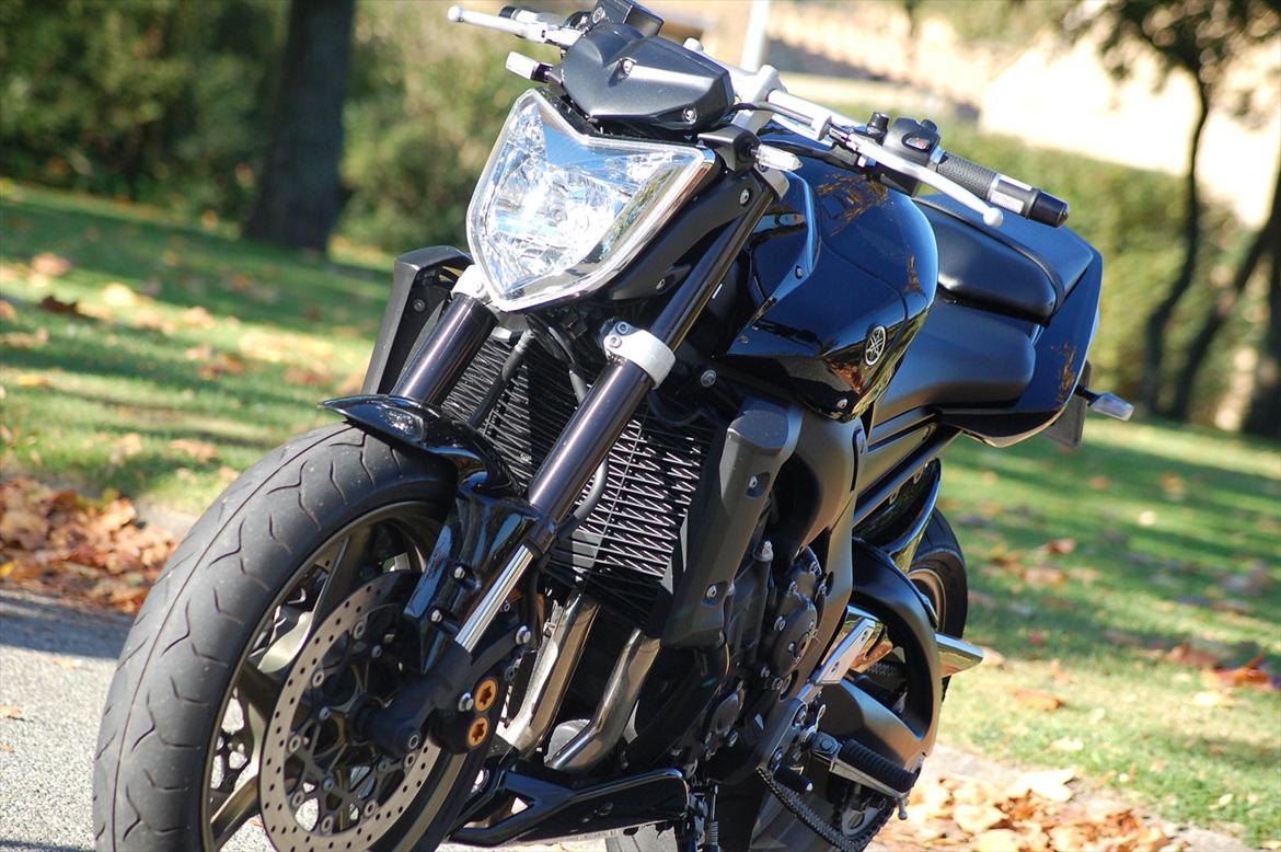 Yamaha FZ1-N billede 8