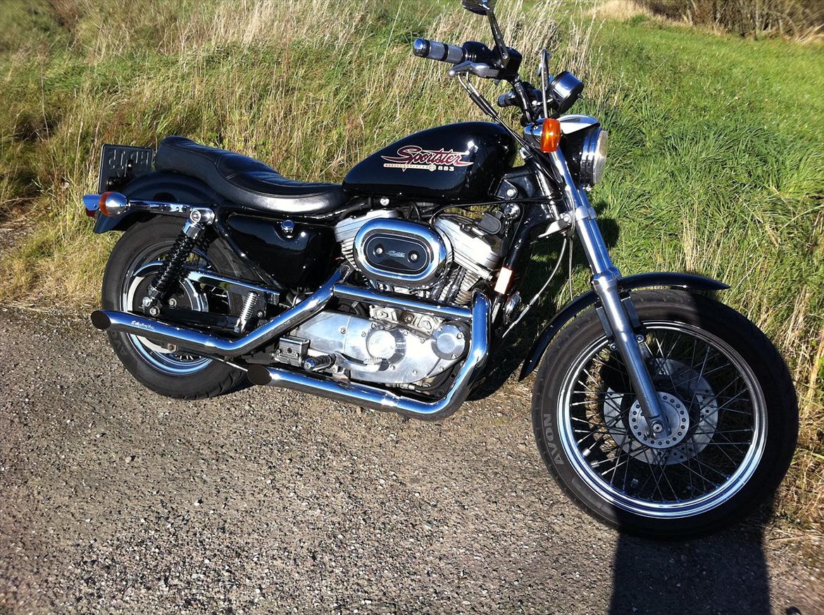 Harley Davidson XLH 883 Sportster billede 19