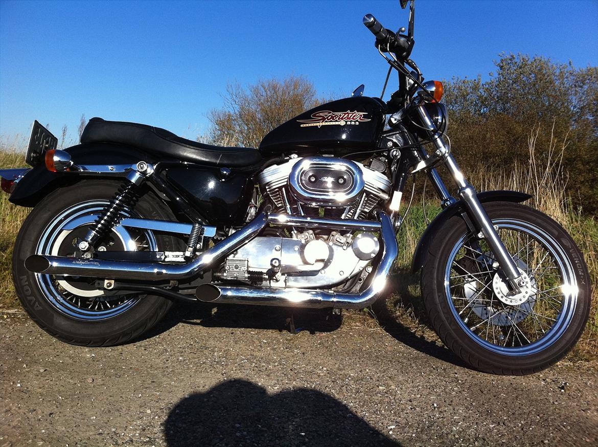 Harley Davidson XLH 883 Sportster billede 2