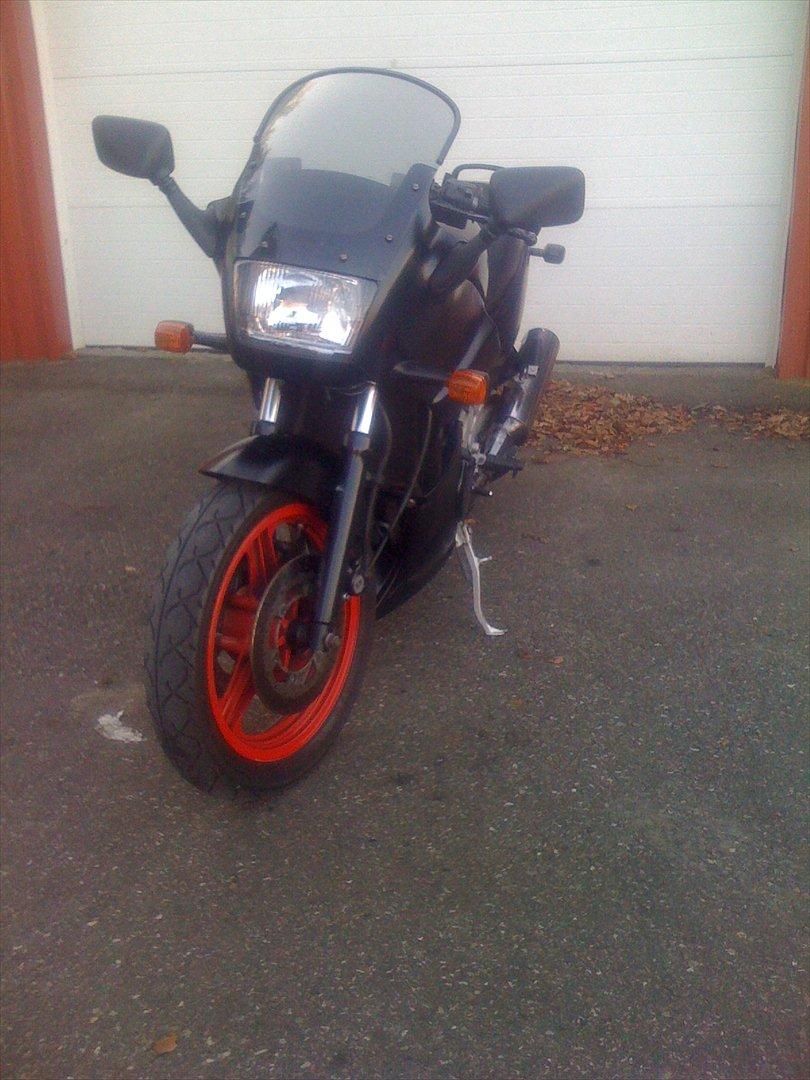 Kawasaki GPZ 500 S (før) billede 1