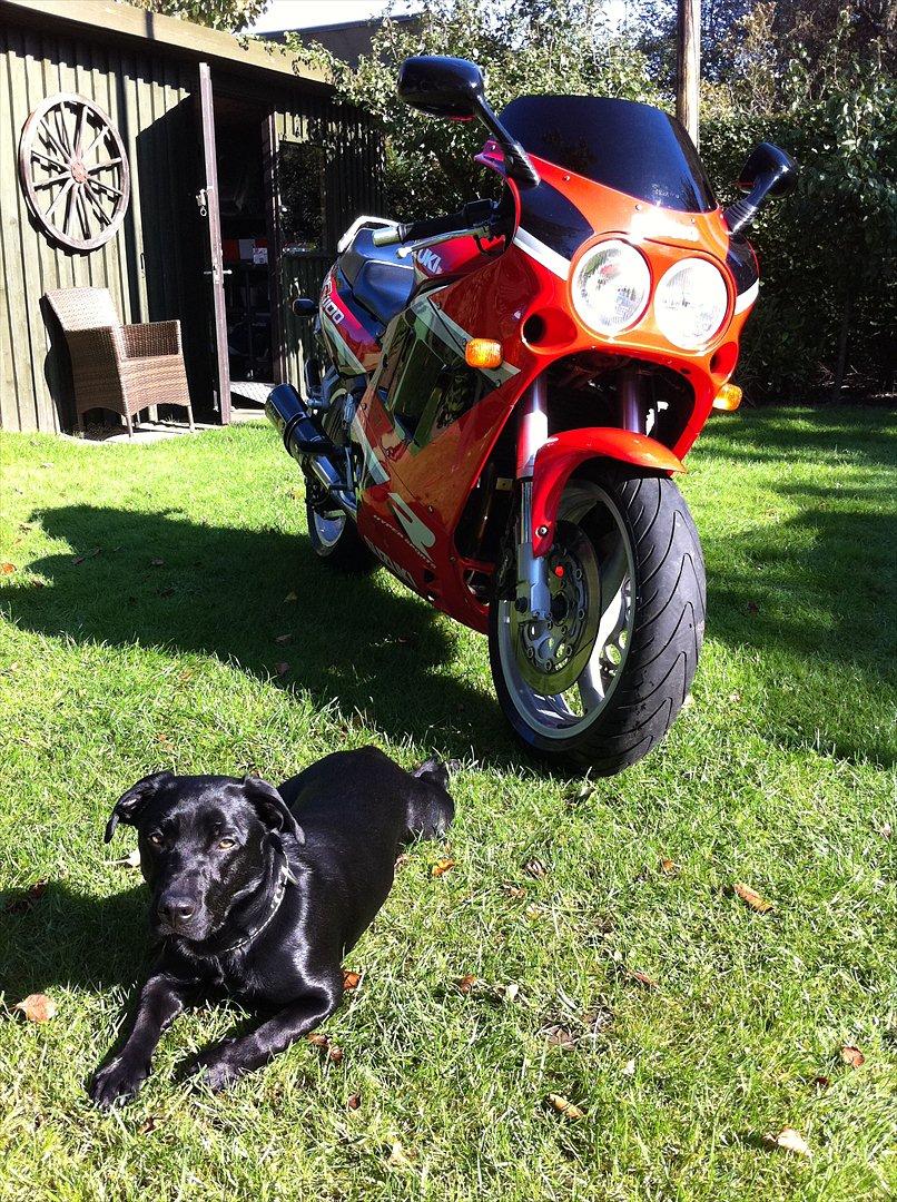 Suzuki GSXR 1100 billede 14