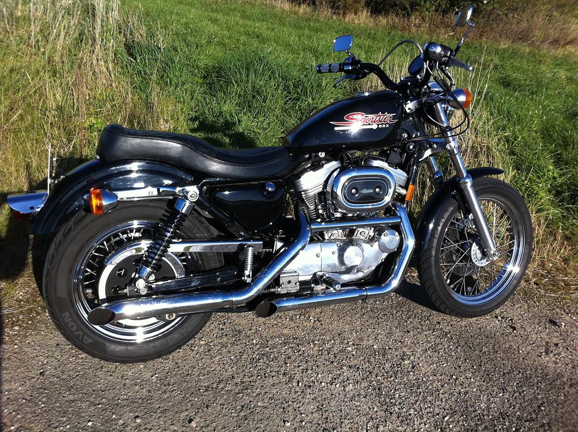 Harley Davidson XLH 883 Sportster billede 1