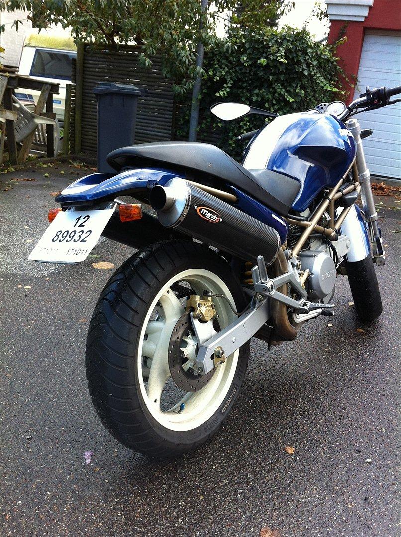 Ducati Monster  billede 3