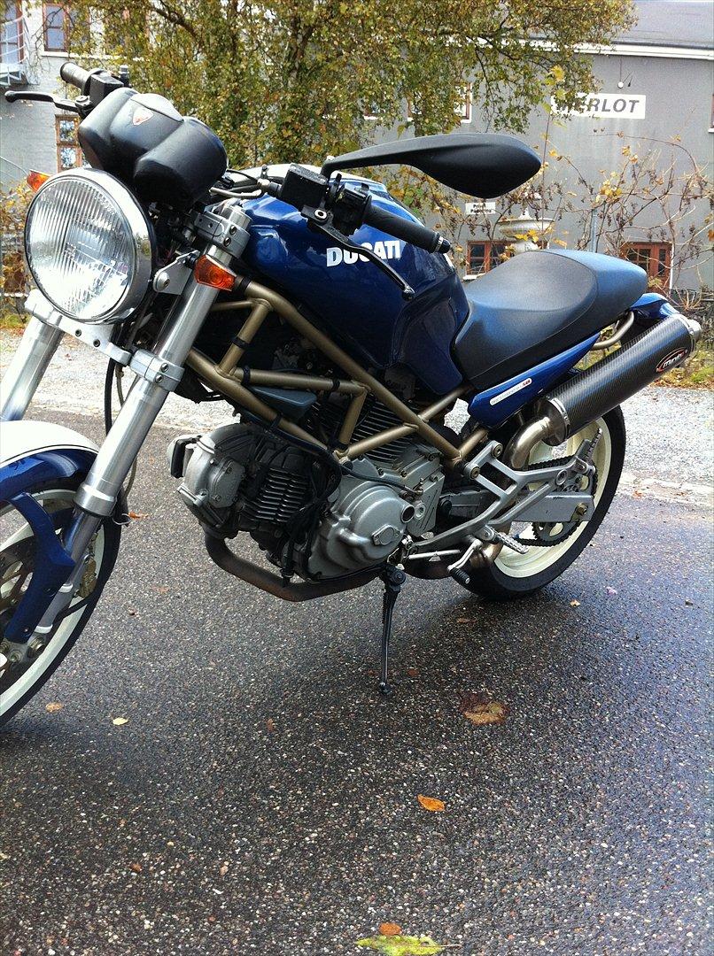 Ducati Monster  billede 7