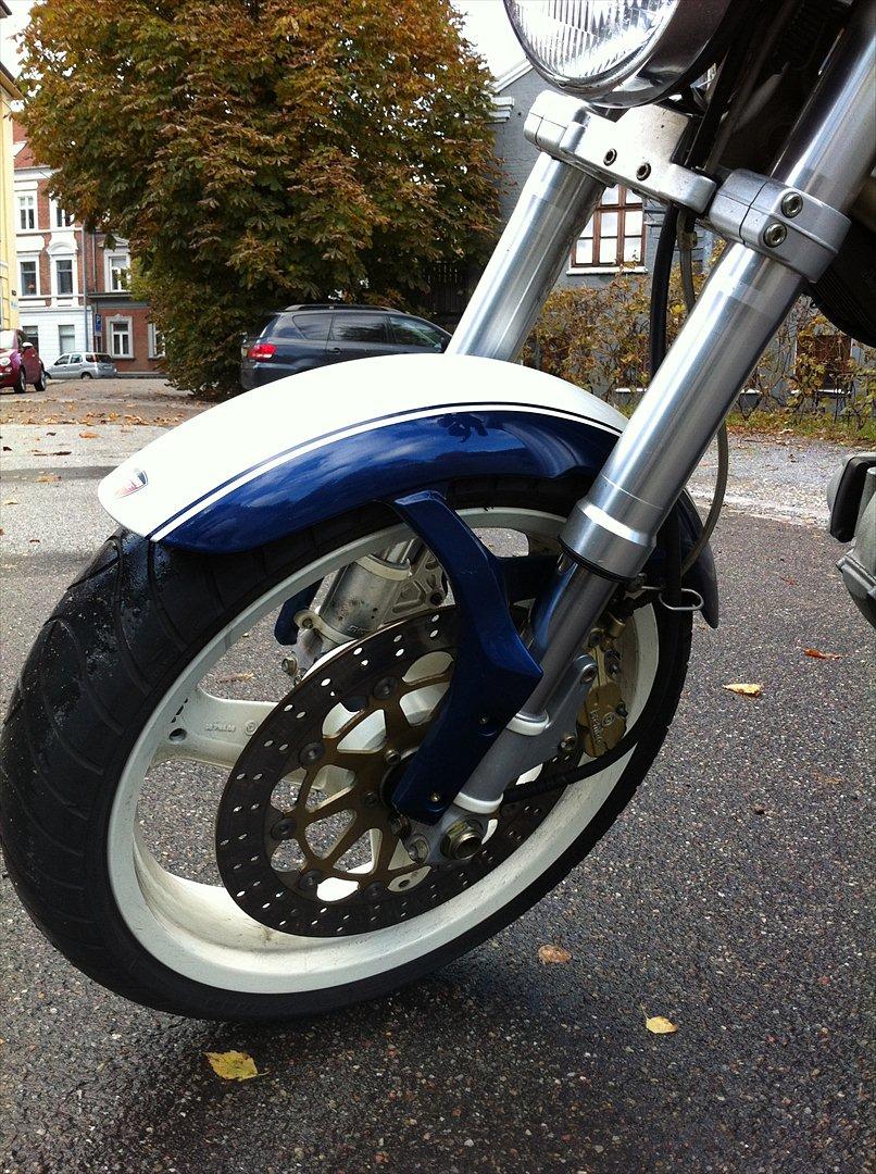 Ducati Monster  billede 6