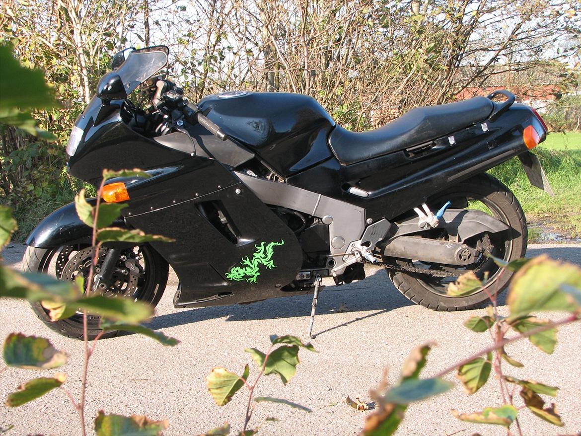 Kawasaki ZZR 1100 billede 11
