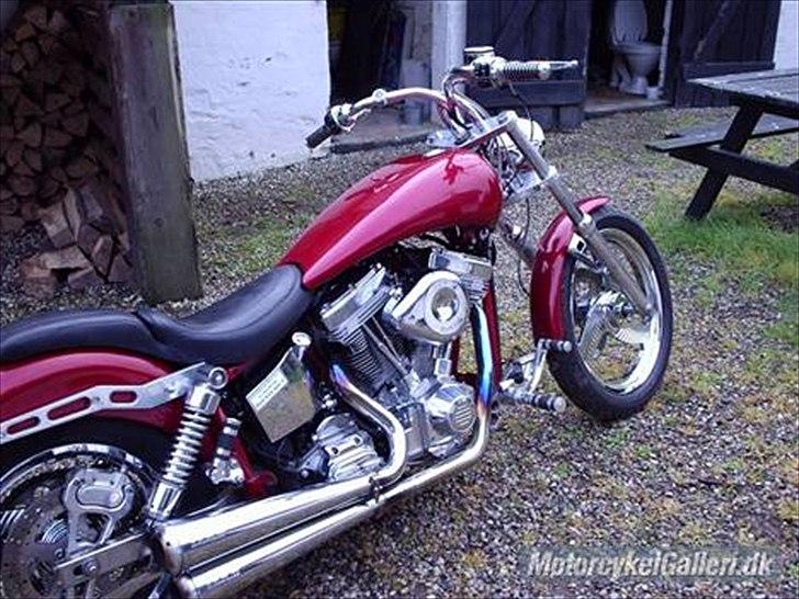 Harley Davidson ss billede 4