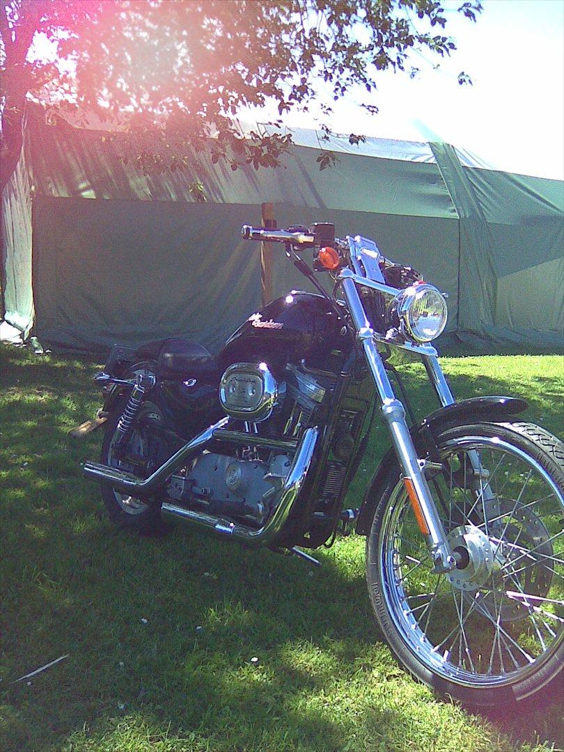 Harley Davidson Sporster XL 53 Custom  billede 3