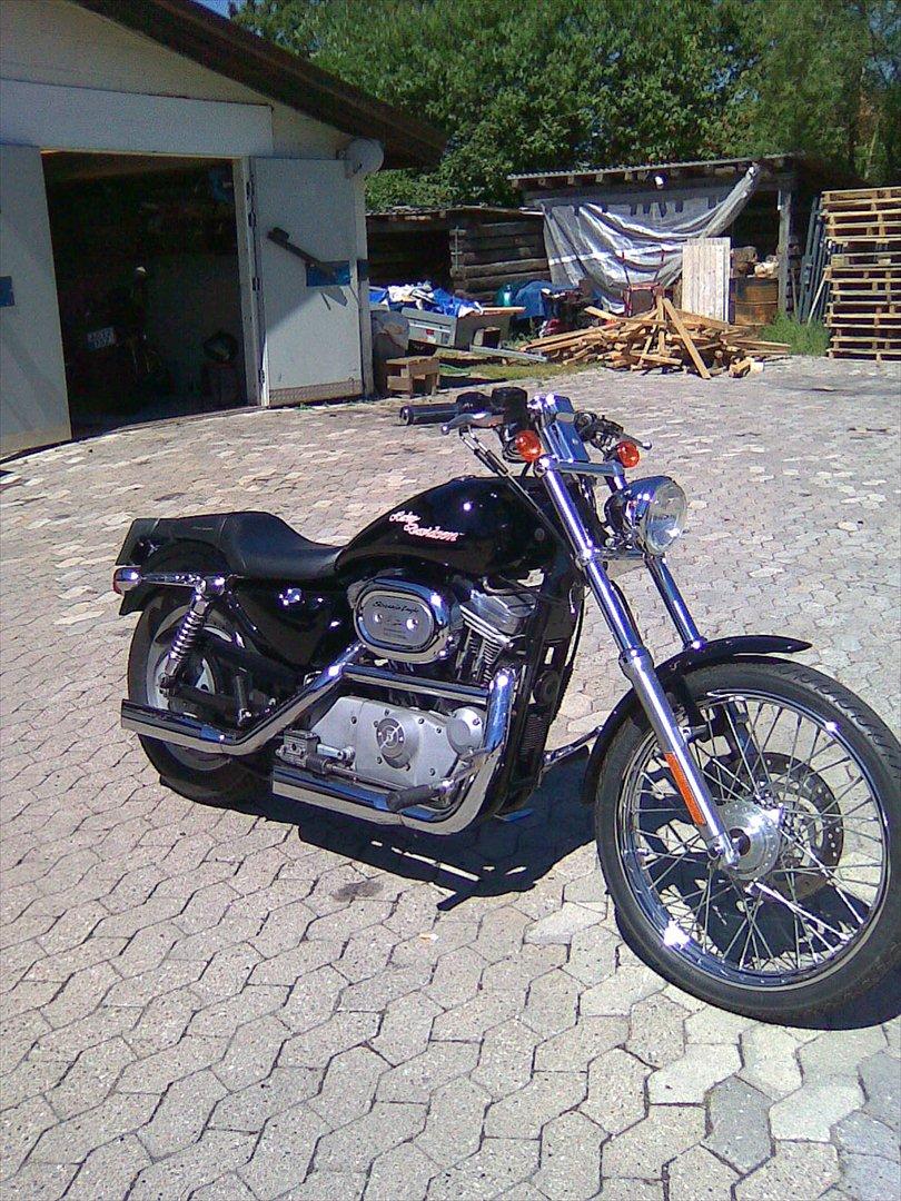 Harley Davidson Sporster XL 53 Custom  billede 4