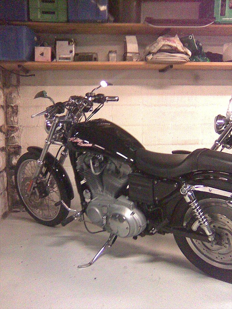 Harley Davidson Sporster XL 53 Custom  billede 5