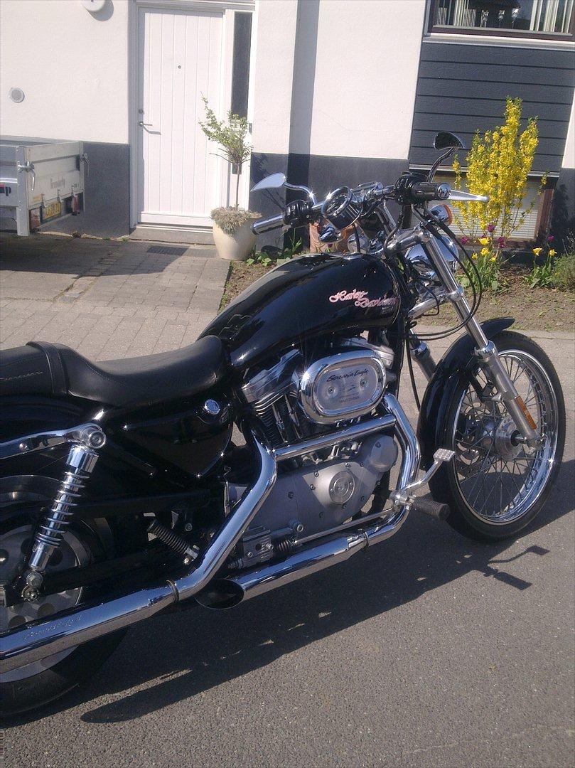 Harley Davidson Sporster XL 53 Custom  billede 8