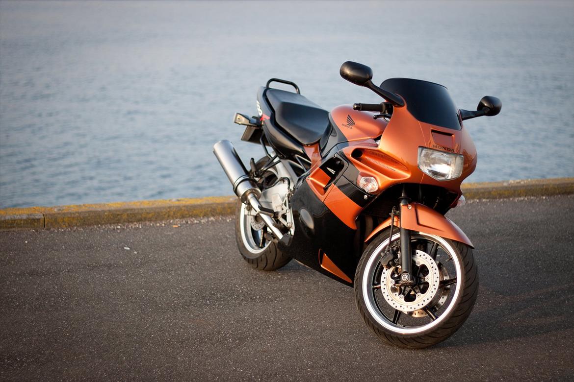 Honda CBR 600 F2 (SOLGT) - 10/10-2011 billede 2