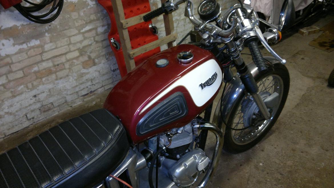 Triumph T 120 R billede 19