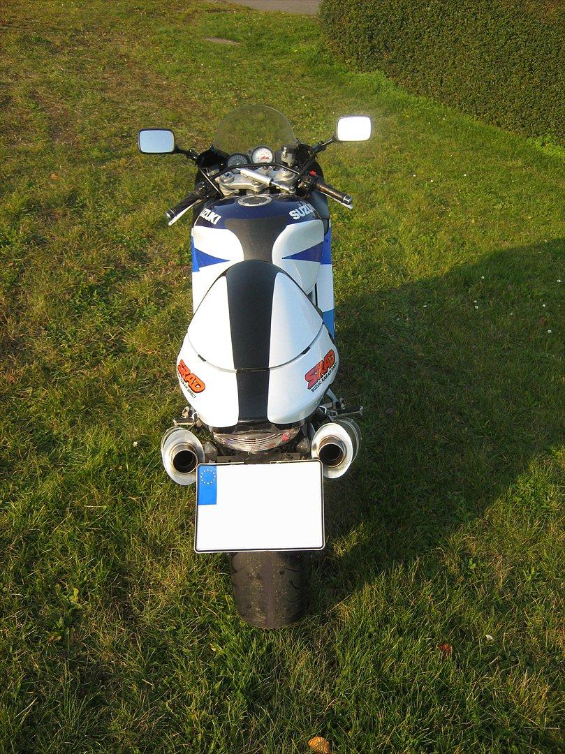 Suzuki TL1000R billede 9